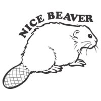 Nice Beaver